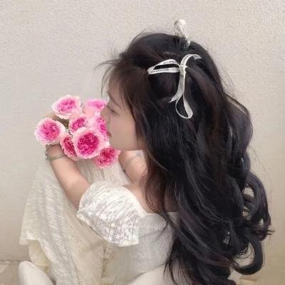 海龟故事